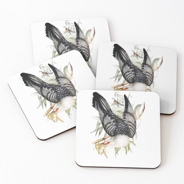 Item preview, Channel Bill Cuckoo (Scythrops Novae-Hollandiae) designed and sold by ShopThousand.