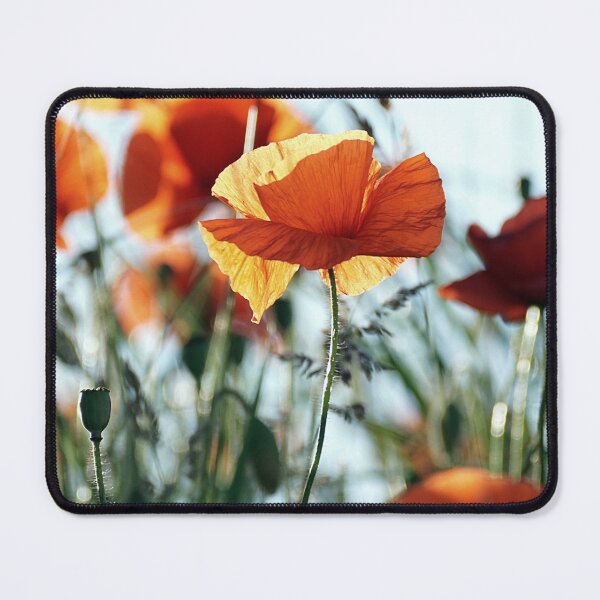 Item preview, Sunny Summer orange Poppies field of flowers Aesthetic Wallpaper designed and sold by Levated.