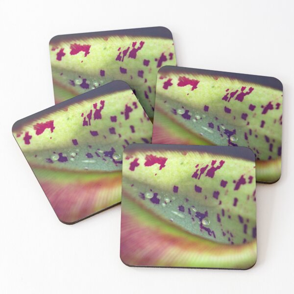 Item preview, Colorful carnivorous plant designed and sold by chiaravisuals.