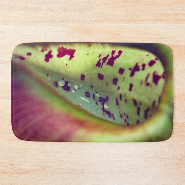 Item preview, Colorful carnivorous plant designed and sold by chiaravisuals.