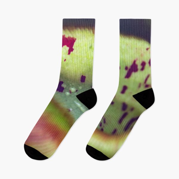 Item preview, Colorful carnivorous plant designed and sold by chiaravisuals.