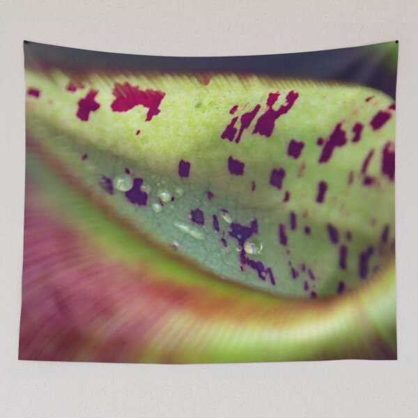 Item preview, Colorful carnivorous plant designed and sold by chiaravisuals.