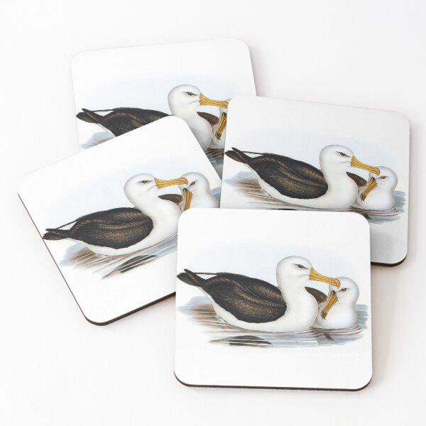 Item preview, Black-eyebrowed Albatros (Diomedea melanophrys) designed and sold by ShopThousand.