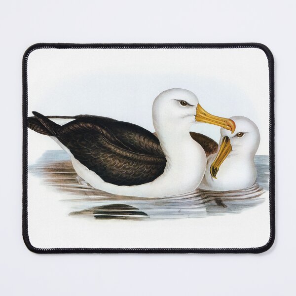 Item preview, Black-eyebrowed Albatros (Diomedea melanophrys) designed and sold by ShopThousand.