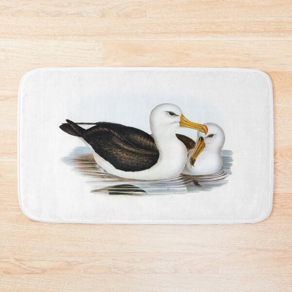 Item preview, Black-eyebrowed Albatros (Diomedea melanophrys) designed and sold by ShopThousand.