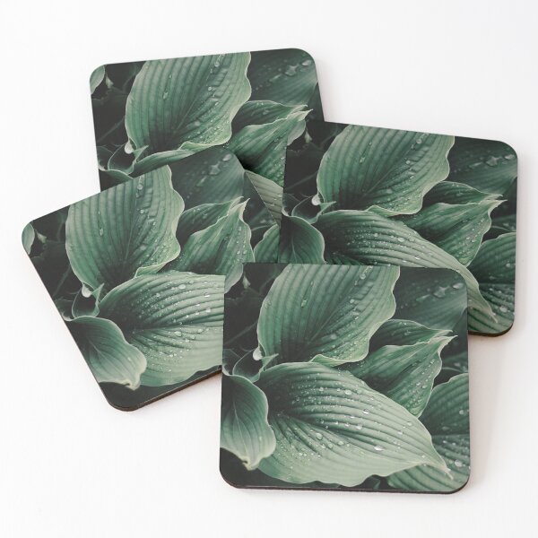 Item preview, Nature green leaves Aesthetic Wallpaper designed and sold by Levated.