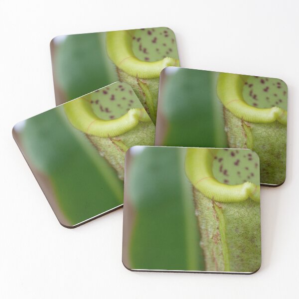 Item preview, Beautiful carnivorous plant designed and sold by chiaravisuals.