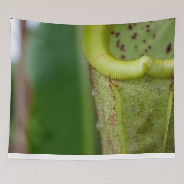 Item preview, Beautiful carnivorous plant designed and sold by chiaravisuals.