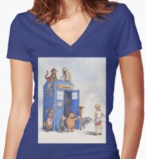Doctor Pooh Women's Fitted V-Neck T-Shirt