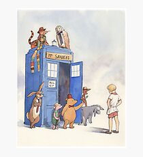 Doctor Pooh Photographic Print
