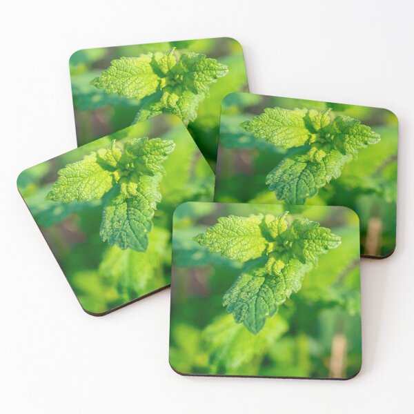 Item preview, Lemon Balm Leaves Melissa officinalis (Lamiaceae) designed and sold by xP42.