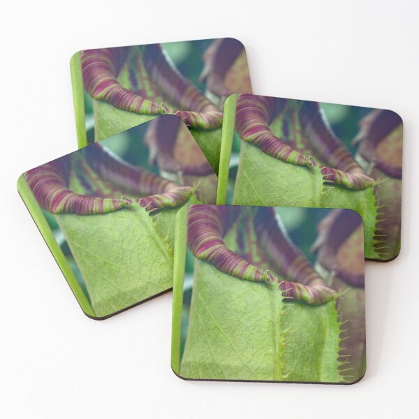 Item preview, Beautiful colorful carnivorous plant in a greenhouse designed and sold by chiaravisuals.