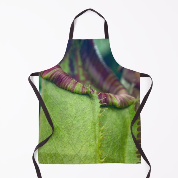 Item preview, Beautiful colorful carnivorous plant in a greenhouse designed and sold by chiaravisuals.