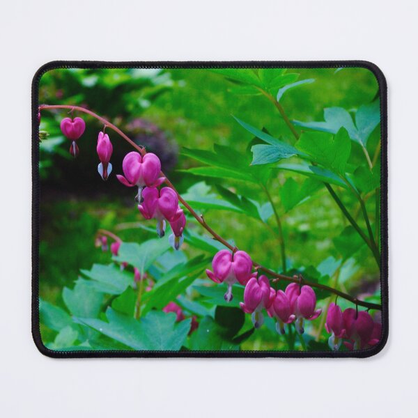 Item preview, Garden Highlight designed and sold by bgoddard.
