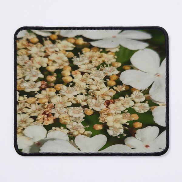 Item preview, Flowy Floral- Summer Flowers designed and sold by DiensDesign.