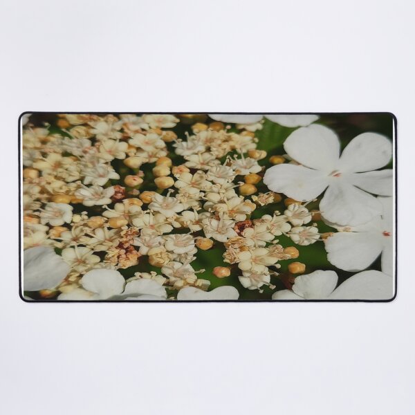 Item preview, Flowy Floral- Summer Flowers designed and sold by DiensDesign.