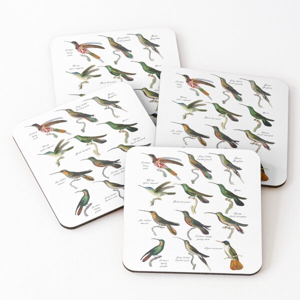 Item preview, Hummingbirds Kinds Types Colibri Species #2320 designed and sold by TheAplus.
