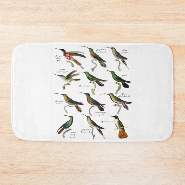 Item preview, Hummingbirds Kinds Types Colibri Species #2320 designed and sold by TheAplus.