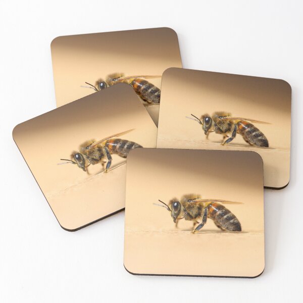 Item preview, Honeybee designed and sold by GreyFeatherPhot.