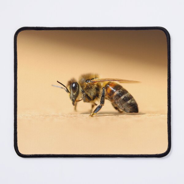 Item preview, Honeybee designed and sold by GreyFeatherPhot.