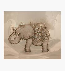 Magic Elephant Photographic Print
