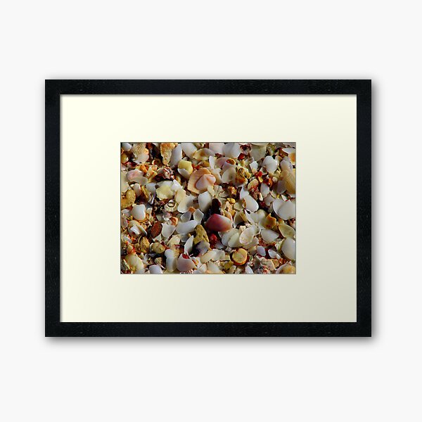 Shell Grit 2 Framed Art Print