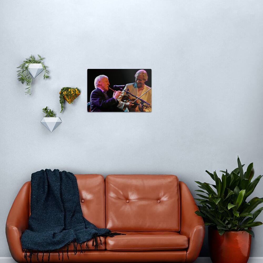 Paddy and Séan Metal Print