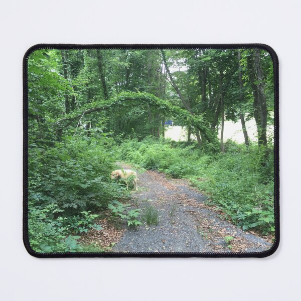 Item preview, Yellow Lab in the Forest  designed and sold by Amanda1775.
