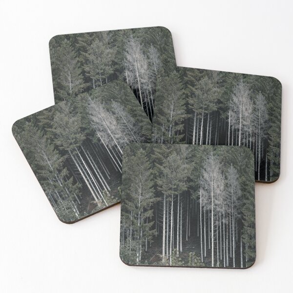 Item preview, Evergreen Pine Forest Ardennes Belgium | White Tree Trunks designed and sold by PhotosByVille.