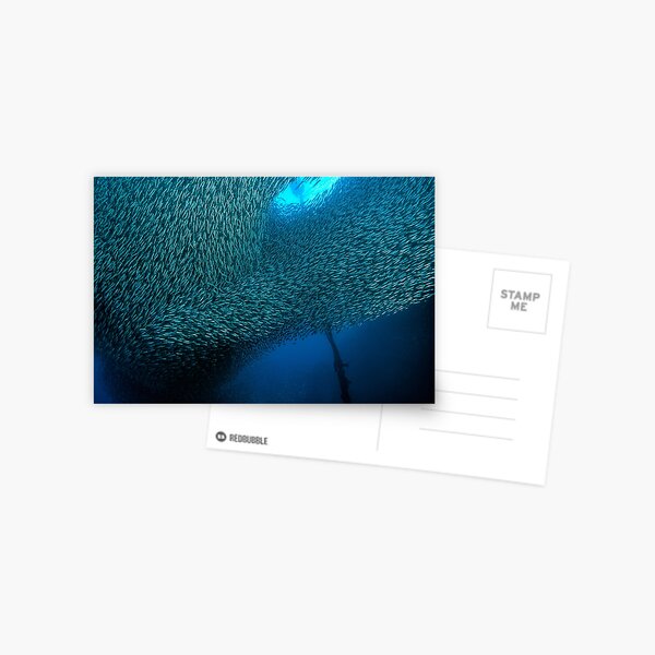 Item preview, School of Sardines at Panagsama Beach designed and sold by Henry Jager.