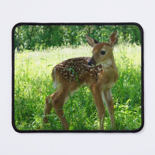 Item preview, A Day In The Field designed and sold by Bill Stephens.