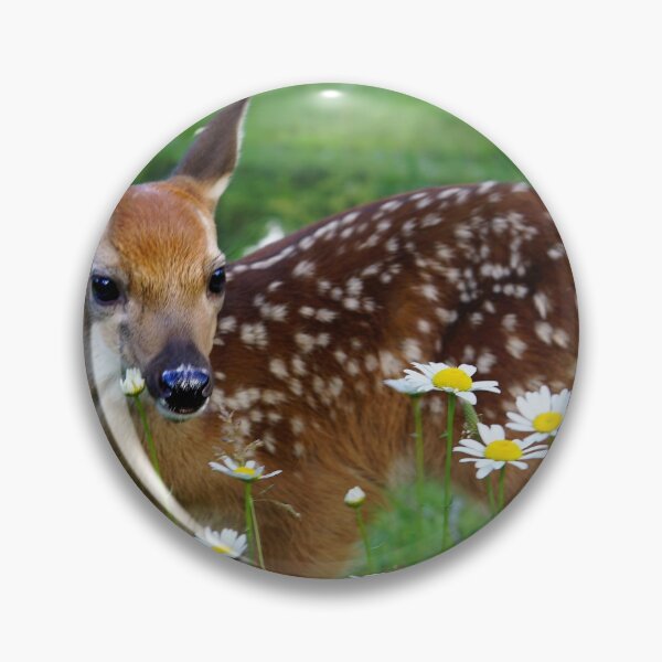 Item preview, Love of Daisies designed and sold by Bill Stephens.