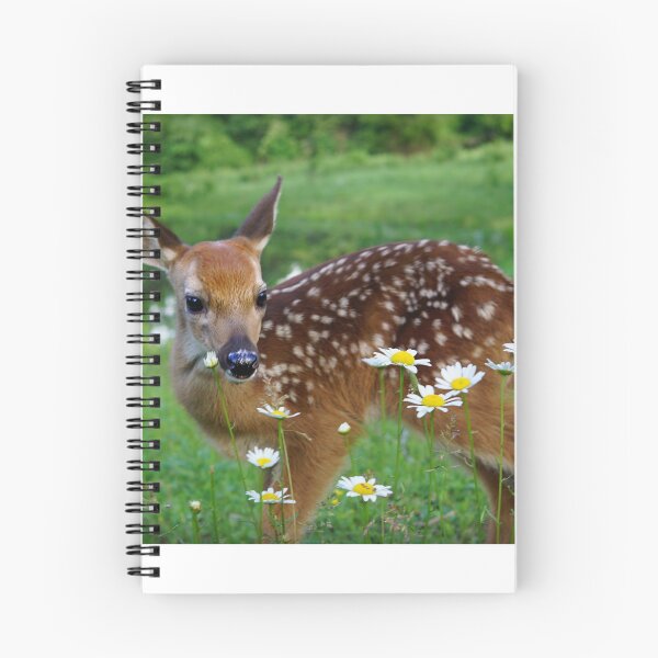 Artikelvorschau, Liebe von Gänseblümchen entworfen und verkauft von Bill Stephens.