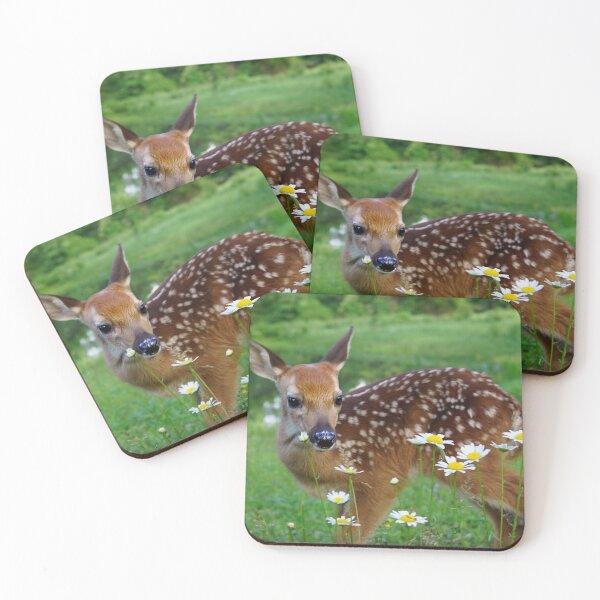 Item preview, Love of Daisies designed and sold by Bill Stephens.