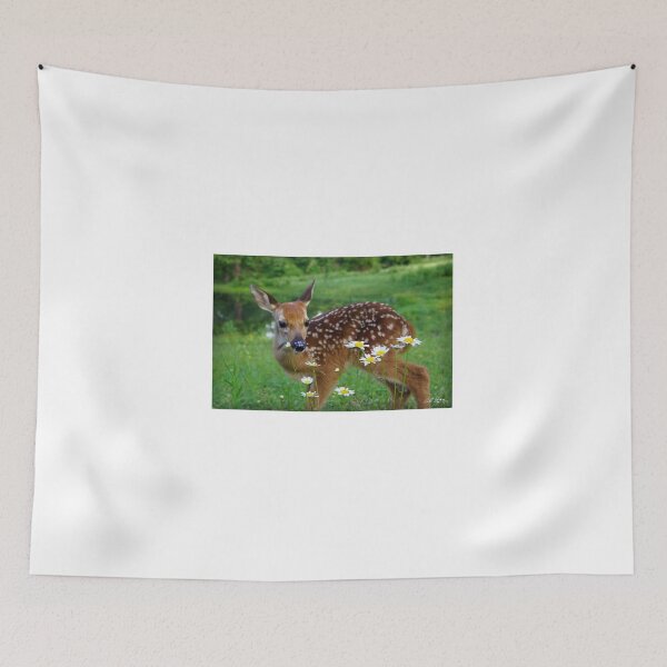 Item preview, Love of Daisies designed and sold by Bill Stephens.