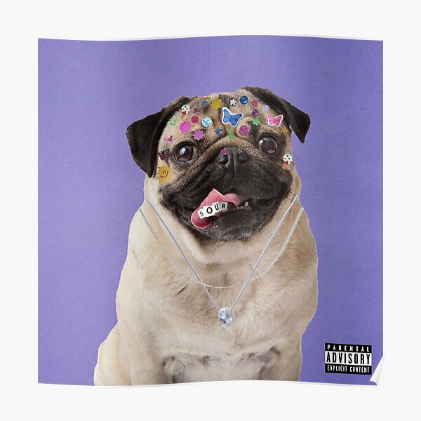 Olivia Redrigo Dog Poster