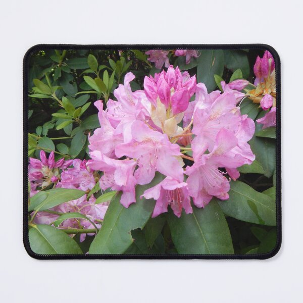 Item preview, Rhododendron designed and sold by Hardhats.