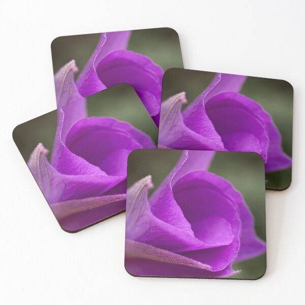 Item preview, Opening alogyne bud designed and sold by Art in Nature.