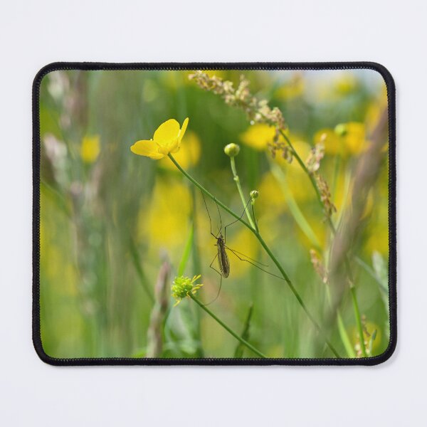 Item preview, Gran grulla designed and sold by Claudia-Evans.