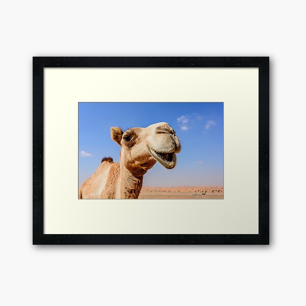 Item preview, Smiling Camel portrait photography for Art Board Prints designed and sold by stedata.