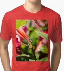 Shield bug explores it's world Tri-blend T-Shirt