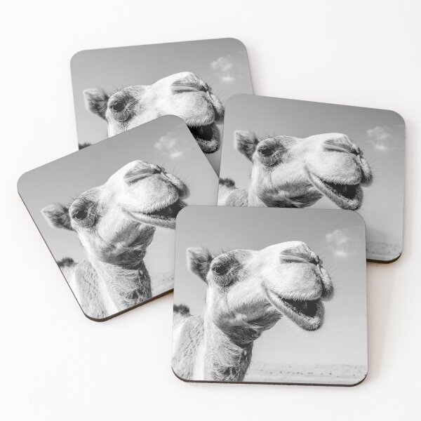 Item preview, Smiling Camel portrait, black and white photography for Art Board Prints designed and sold by stedata.