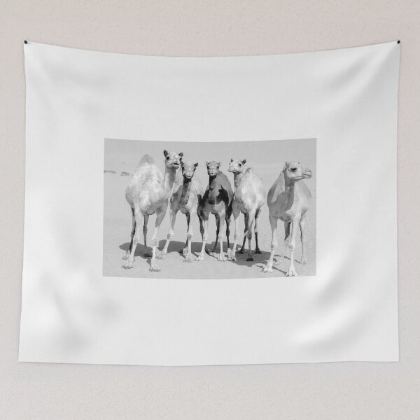 Item preview, Group of camels in thee desert, black and white photography  designed and sold by stedata.