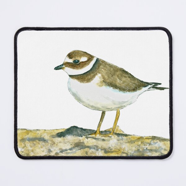 Item preview, Little Plover (watercolour) designed and sold by Sarah Addy.