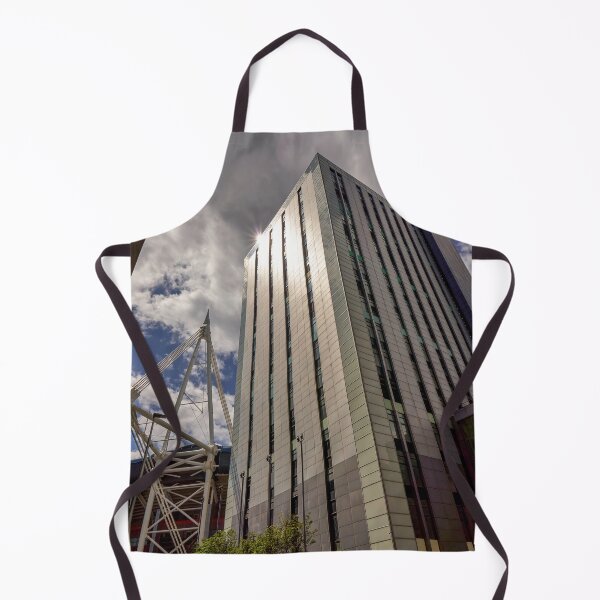 Item preview, Principality Stadium, Cardiff, Wales designed and sold by VnGphoto.