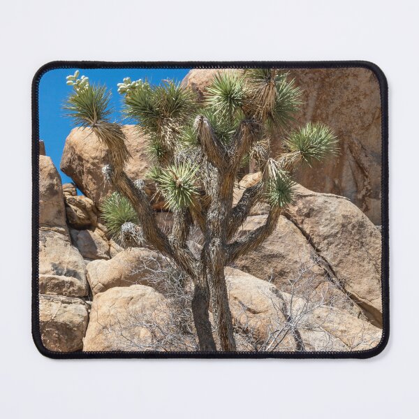 Item preview, Joshua Tree designed and sold by LizzieMaher.