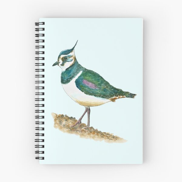 Item preview, Lapwing (watercolour) designed and sold by Sarah Addy.