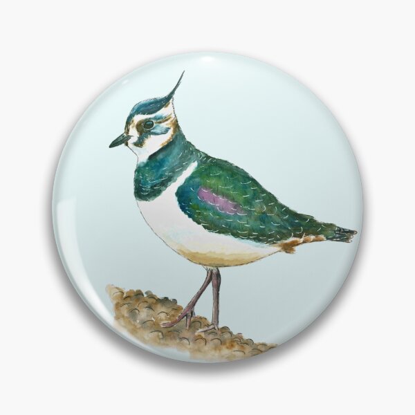 Item preview, Lapwing (watercolour) designed and sold by Sarah Addy.