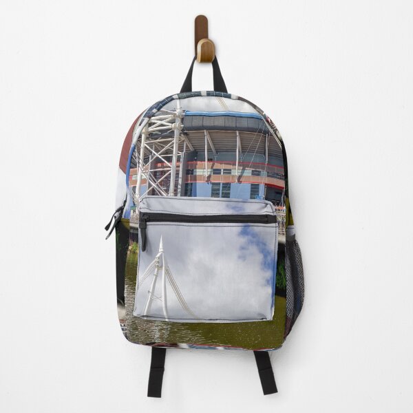 Item preview, Principality Stadium, Cardiff, Wales designed and sold by VnGphoto.