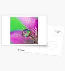 Eye-Catching Postcards